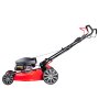 Газонокосилка бензиновая самоходная с двигателем FUBAG Honda FPL 56 SMH в Краснодаре фото